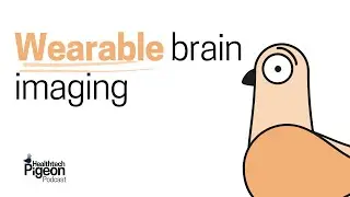 Wearable Brain Imaging