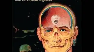 Graham Repulski - At The Pain Olympics