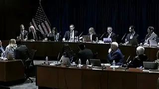 Florida medical boards reject exceptions to bans on transgender surgeries, treatments for minors