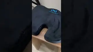 Everlasting Butt Support! A happy coccyx is a happy life 🤭 #chair #sciatica #cushion