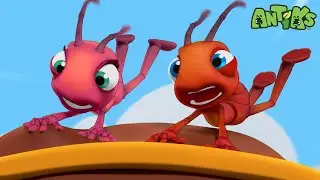 Spa-get-it | Antiks 🐜 | Funny Cartoons for Kids
