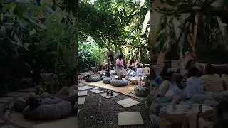 Garden Of Dreams Cafe in Arambol Goa | #goa #beach #luckyaliunplugged