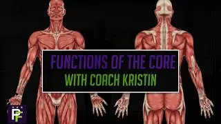 Functions of the Core with Coach Kristin