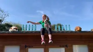 Ten green bottles