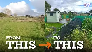 Starting A New Allotment Plot