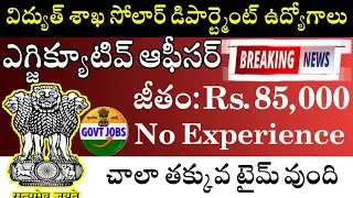 విద్యుత్ శాఖ సోలార్ డిపార్ట్మెంట్ లో ఉద్యోగాలు || NISE Executive Assistant Recruitment 2025