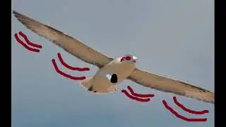 Music to fight a mechanical sky bird to