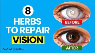 8 Powerful Herbs to Protect Your Eyes & Restore Vision Naturally | Crafted Nutrition