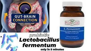 lactobacillus microbiology lecture ||lactobacillus  fermentum ||Easy Microbiology