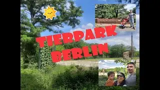 Tierpark - The biggest zoo in Berlin Part 1 | Weekend Activities | daily story vlog