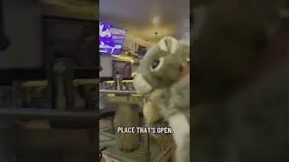 Timing is everything.#worldseriesreactions #worldseries #baseballreacts #gododgers #squirrelpuppet
