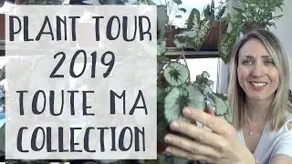 PLANT TOUR 2019  | Ma collection de plantes +120 plantes