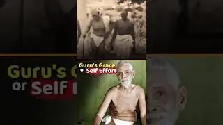 Guru&rsquo;s Grace vs. Self Effort 🕉️ Ramana Maharshi #whoami #ramanamaharshi #shorts #spirituality