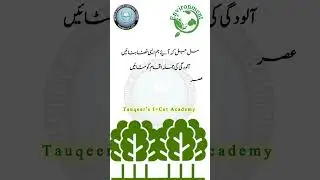 World Environment Day 2025 Poetry | Let's Protect Our Planet Together