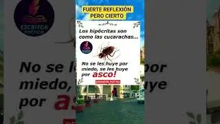 Frases Con Sentimientos ❤️&zwj;🩹 #frases #reflexiones #viralvideo #shorts #viral #dios #sad #feed #amor