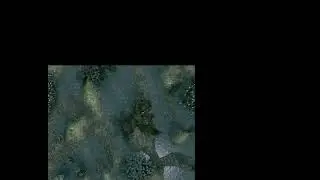 flowscape map swamp
