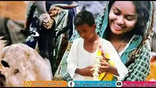 جديد عبدالله على قداله بواسطة المبدع نزار ود عوض الله أعمل إشترك في القناة ليصلك جديد ومشاركه  بحبكم
