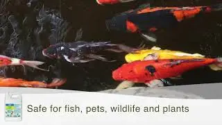 POND STRESS COAT Pond Water Conditioner 1Gallon Bottle  Aquarium Treatments  Pet Sup