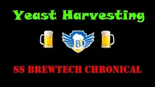 BrewBru ep6 - Yeast Harvesting with SS Brewtech Chronical Conical