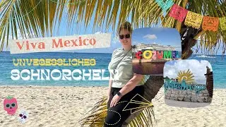🦈 Schnorcheln in Cozumel | Ammenhai, Rochen, Schildkröten & Seesterne & Hafentag in Costa Maya 