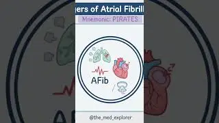 Causes of Atrial Fibrillation#AtrialFibrillation#Cardiac#Med#Nursing#ThyroidDisease#the_med_explorer