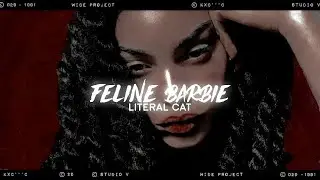 〄 mega &eacute;clatante feline beauty & life pack｡