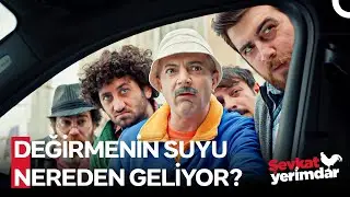 Yumurta Satarak Bu Arabayı Alamazsın Şevo - Şevkat Yerimdar