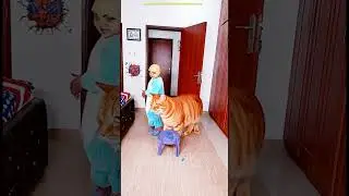 Marvelous Funny Video Try not to laugh Alien wolf dog reaction funny cat kitten kartun kucing billi