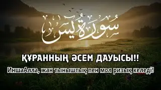 ҚҰРАННЫҢ ӘСЕМ ДАУЫСЫ ЖҮРЕК ПЕН ОЙДЫ ТЫНЫШТАНДЫРАДЫ ИншаАлла ризық пен тыныштық әкеледі | ALAA YASSER