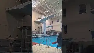 UK vs Cincinnati Diving! Go Wildcats!