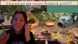 A little Leopard Gecko enclosure upgrade! (Loose substrate)