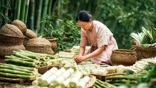 Beautiful Girl Living Alone in the Mountain - Harvesting Wild Bamboo Shoots, Hot Peppers, Sapodilla
