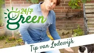 TIP: ZO BLIJVEN KATTEN WEG UIT JE TUIN