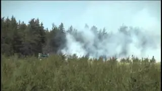 Forest Burn