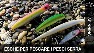 Quali sono le esche per pescare i Pesci Serra a Spinning