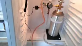 Home brew with kegerator fridge.