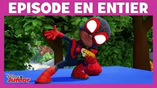 Spidey et ses amis extraordinaires - Extrait : Octopus et le Spider venin
