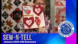 Rocky Mountain Sewing & Vacuum Sew Fun January 2025 - Part 2
