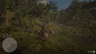 Red Dead Redemption 2_Elysian pool treasure  map location