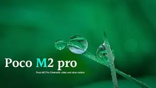 Nature - slow motion Poco M2 pro cinematic video || 4k video