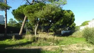 SR20818 - Lote de terreno para constru&ccedil;&atilde;o de moradia - Vale do Garr&atilde;o
