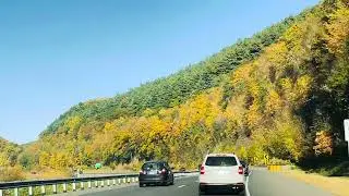 Naugatuck CT (rt 8)