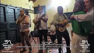 MOMENTOS DE AMOR(PASEO) FERNANDO MENESES ROMERO...TRIO DE ORO LOS HIJOS DE SERGIO MOYA MOLINA 🎸🎶🎙️🇨🇴