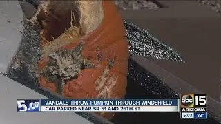 Pumpkin smashes through car window