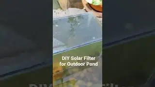 DIY solar filter outdoor pond #ponds #pondfilter #aquarium #aquariumfilter #diyaquarium #diyfilter