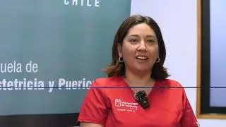 Logros Escuela de Obstetricia y Puericultura | Centro de Atención de Matronería