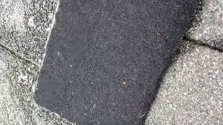 Blown Off Shingles Storm Damage DIY Fix 👍