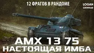 12 ФРАГОВ НА AMX 13 75