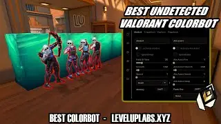 So I Tried the BEST UNDETECTED VALORANT COLORBOT & TRIGGERBOT (2026 Results + Showcase)