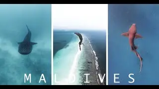 Experiencing THE REAL MALDIVES on DHIGURAH and MAAFUSHI ISLAND I Cinematic Travel Video